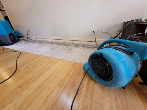 Professional Flood Damage Cleanup technician working in Palisades, NY